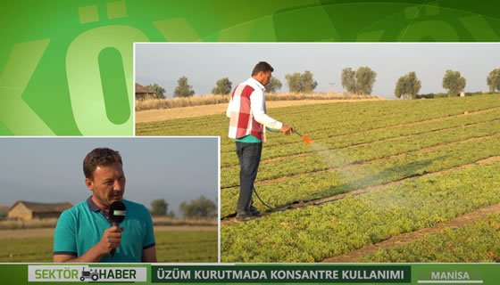 Novchem Sebze ve Meyve Kurutma Konsantresi Kullanımı