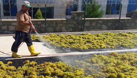 Novchem Spreyleme ile Kullanımı